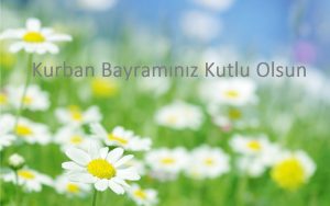 متن تبریک عید قربان به زبان ترکی استانبولی به همراه ترجمه فارسی