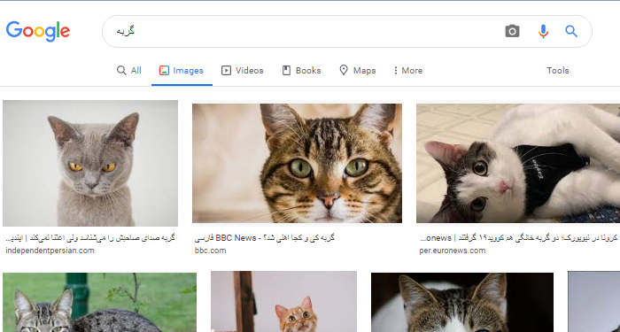 چگونه در گوگل با عکس سرچ کنیم