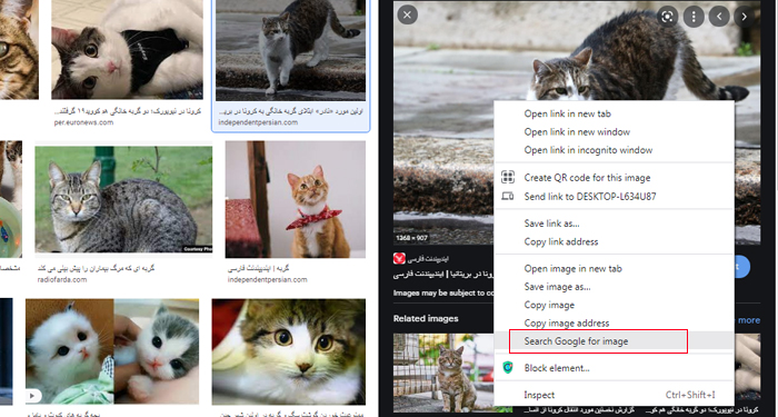 چگونه در گوگل با عکس سرچ کنیم