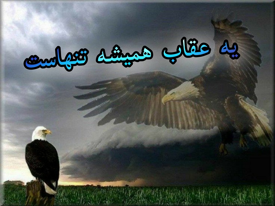 عکس نوشته زیبا یک عقاب همیشه تنهاست 