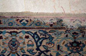 چه حشراتی فرش را می‌خورند؟