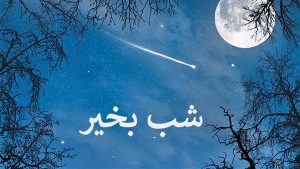 به جای شب بخیر چی بگیم ؟!