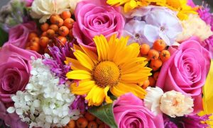 جملات زیبا درباره گل ها و زیبایی های آن ها