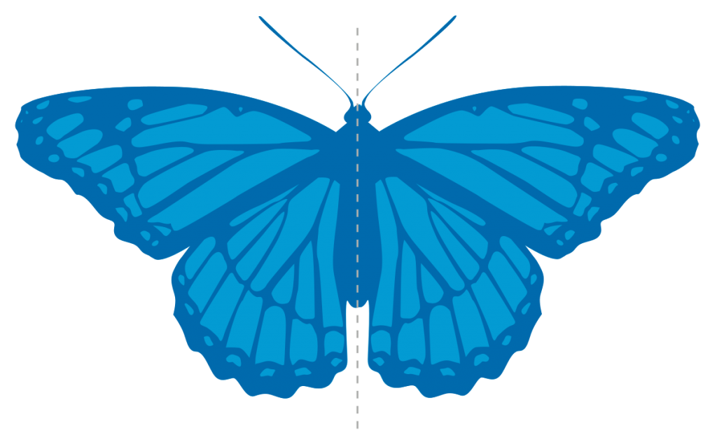 آموزش مفهوم تقارن به کودکان + عکس برای آموزش تقارن