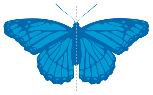 آموزش مفهوم تقارن به کودکان + عکس برای آموزش تقارن