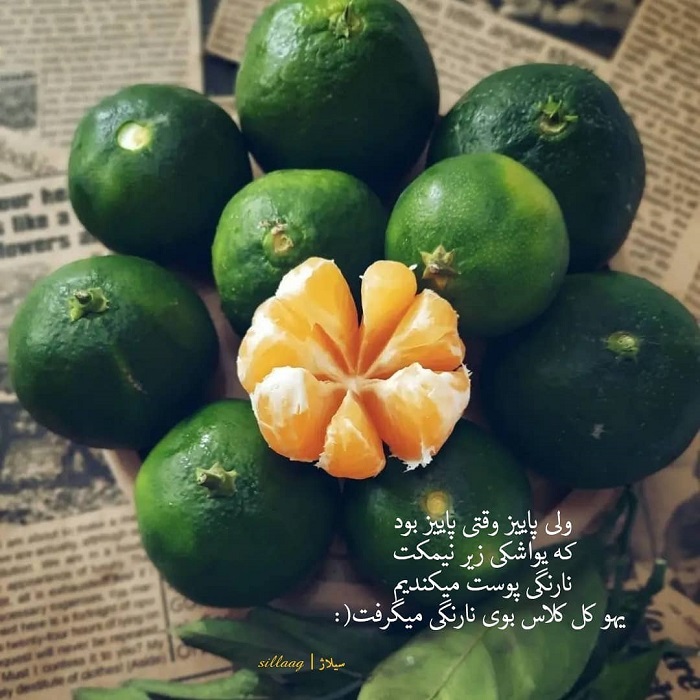 عکس با متن درباره نارنگی