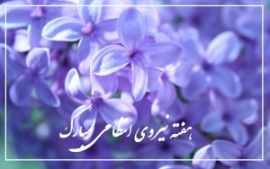 عکس نوشته تبریک روز نیروی انتظامی و هفته ناجا؛ جدید و زیبا