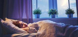 گیاه برای خواب راحت (گلدان مناسب برای اتاق خواب)