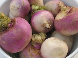 روش های پخت شلغم