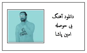 دانلود آهنگ بی حوصله از امین پاشا