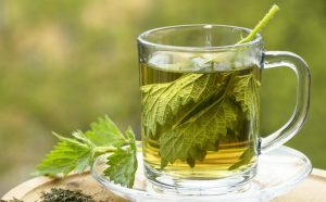 طرز استفاده از گزنه برای دیابت (درمان دیابت با گیاه گزنه)