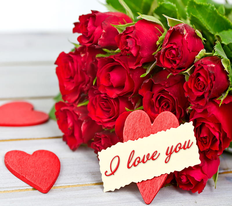 عکس گل رز قرمز عاشقانه برای پروفایل