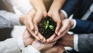 متن زیبا درباره مسئولیت پذیری و احساس مسئولیت در زندگی