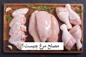 مصلح مرغ چیست؟