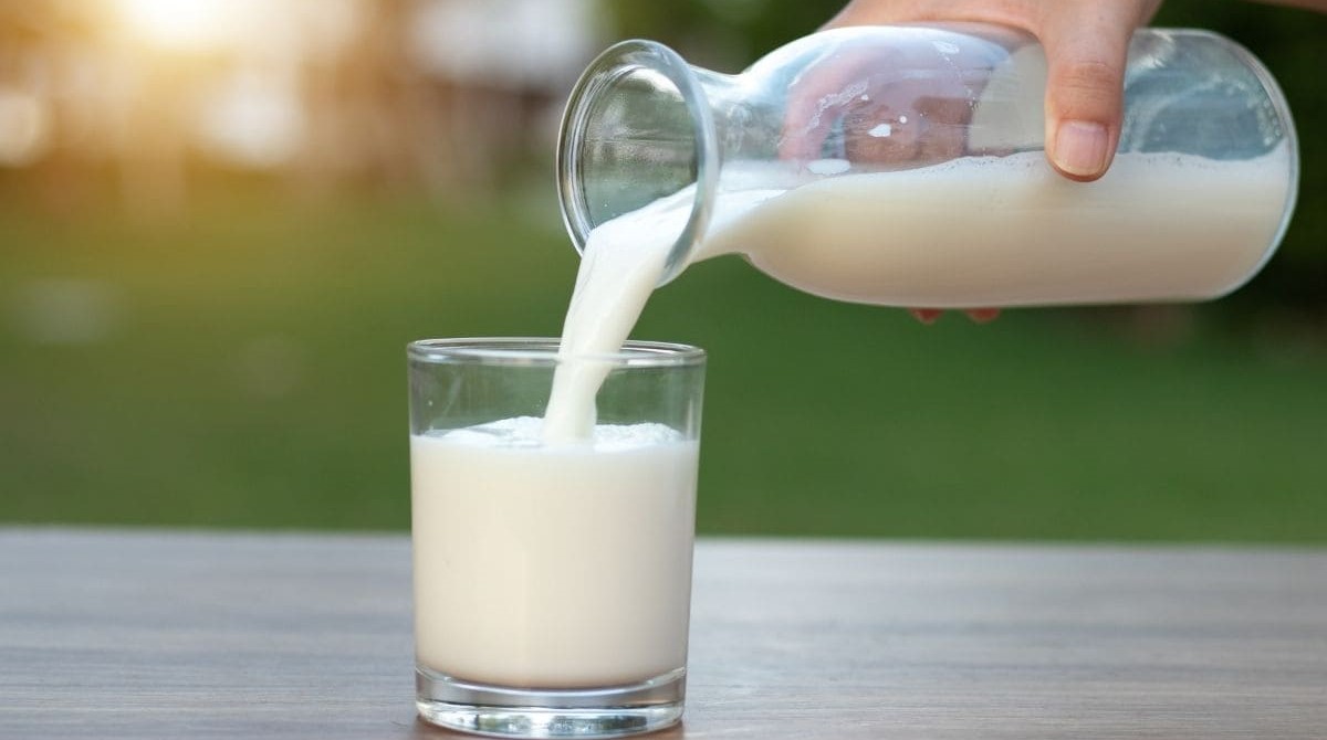 کالری یک لیوان شیر چقدر است؟