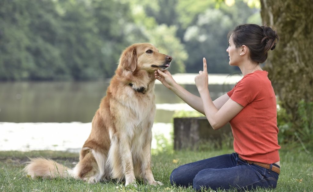 چگونه به سگ اسمش را یاد دهیم؟