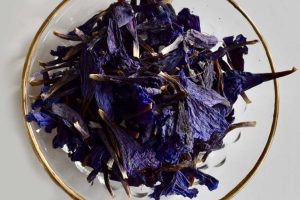 گل گاوزبان چه تاثیری بر فشار خون دارد؟