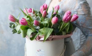 40 عکس گل لاله برای پروفایل و استوری (عکس های گل لاله در رنگ های مختلف)