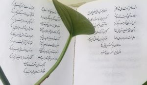فال روزانه حافظ سه شنبه 24 اسفند ۱۴۰۰؛ فال چهارشنبه سوری حافظ