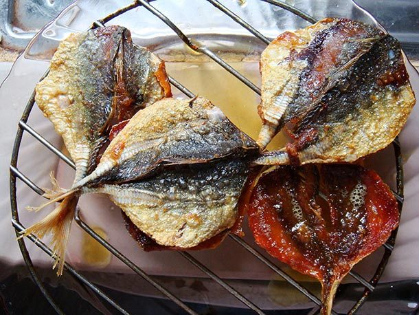 ماهی ین یانگ (Yin-Yang Fish)