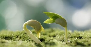 250 متن درباره شروع دوباره (کوتاه، انگیزشی و زیبا)