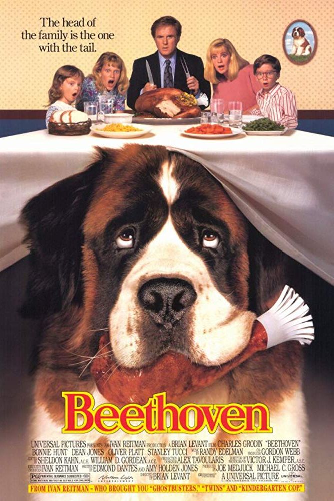 فیلم سینمایی درباره ی سگ ها