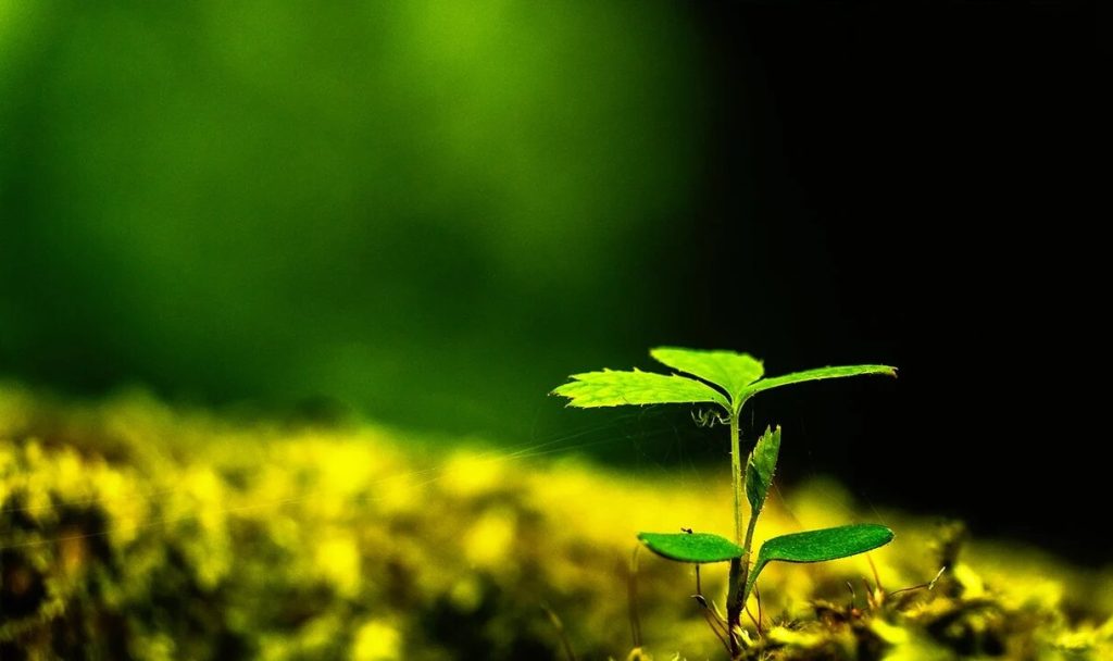 جملات بزرگان درباره زندگی (کوتاه، پندآموز، فلسفی و امیدوارکننده)