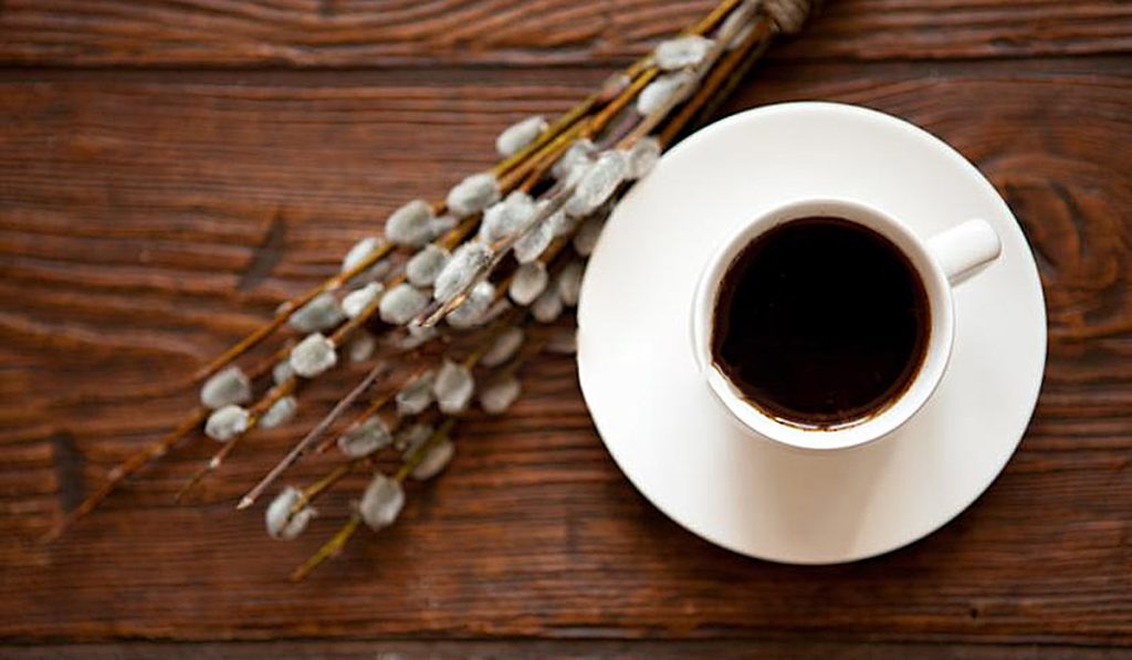 طرز تهیه دمنوش بیدمشک + خواص این دمنوش همه کاره