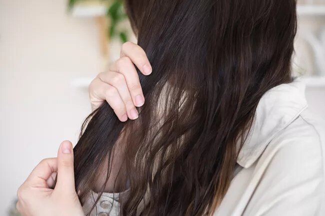 روش استفاده از روغن آرگان برای مو