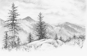 طراحی طبیعت ساده با مداد سیاه (مدل برای نقاشی)