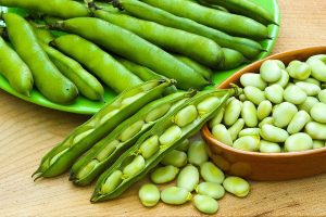 آموزش فريز كردن باقالی؛ با حفظ رنگ سبز و مزه