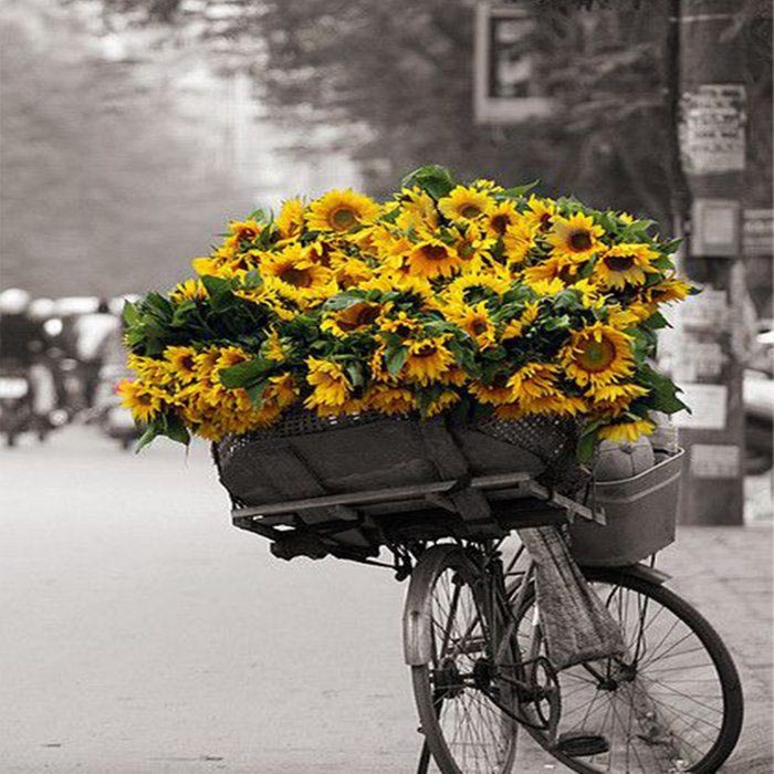 عکس گل آفتابگردان زیبا برای پروفایل