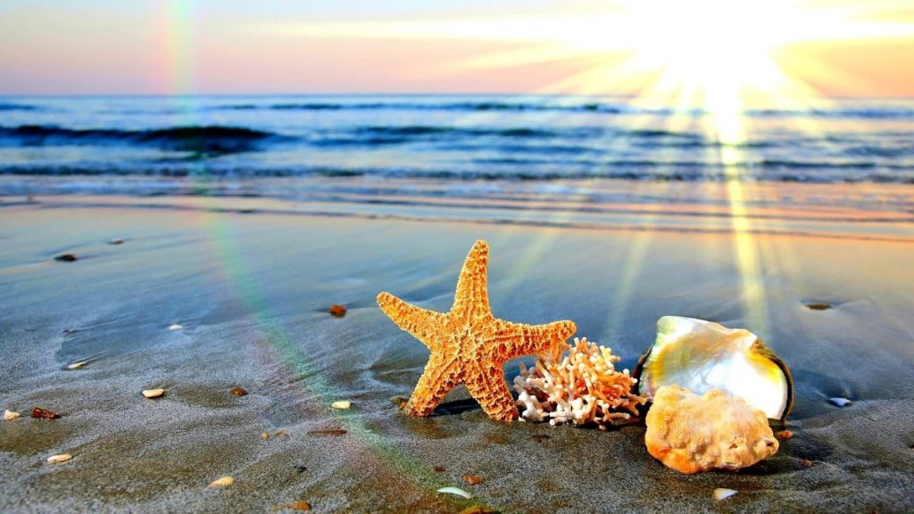 الزامات تابستانی برای یک سبک زندگی سالم: 12 نکته