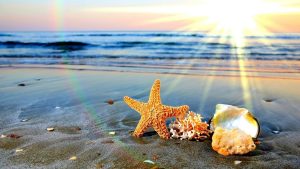 الزامات تابستانی برای یک سبک زندگی سالم: 12 نکته