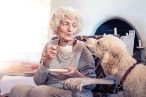 بهترین نژاد سگ برای افراد مسن و سالمند با ویژگی های مناسب