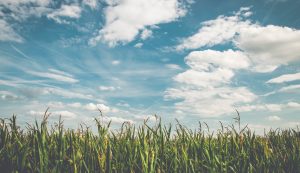 دعای روز دوشنبه برای حاجت (متن و صوت) + ذکر و تسبیح و نماز