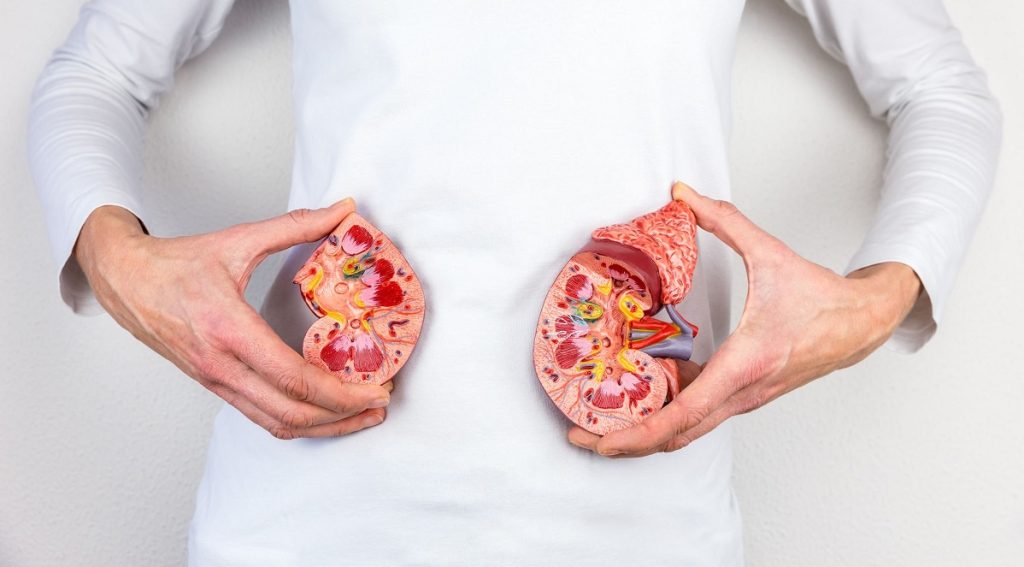 رژیم غذایی برای افرادی که سنگ کلیه اگزالات دارند؟