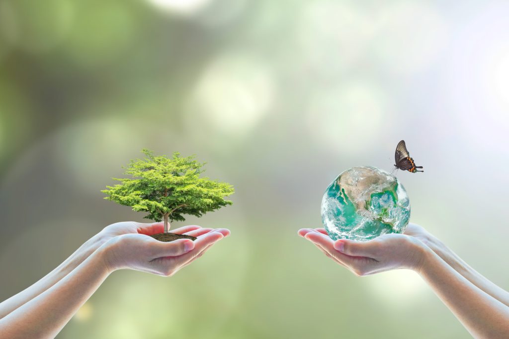 عکس به مناسبت روز جهانی محیط زیست