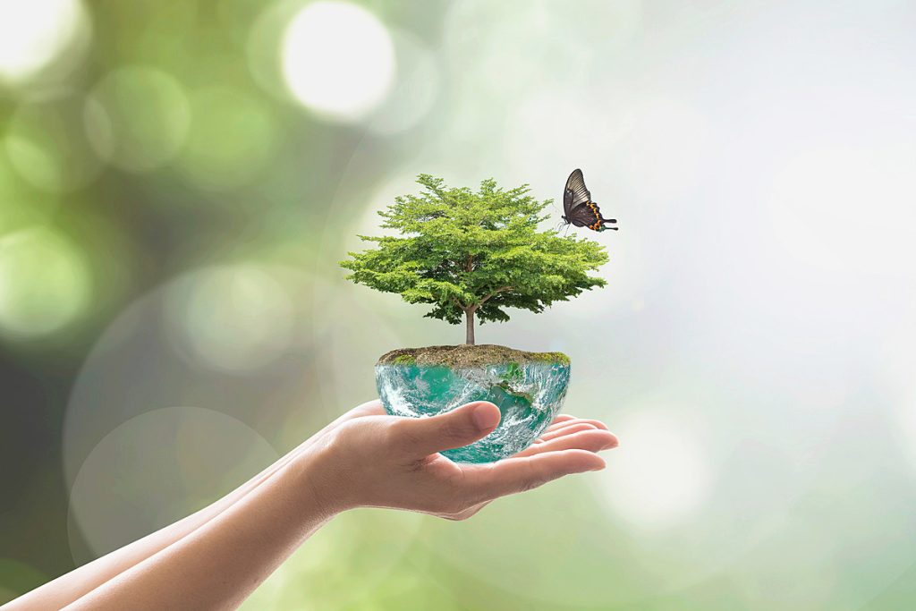 تصویر عکس روز جهانی محیط زیست