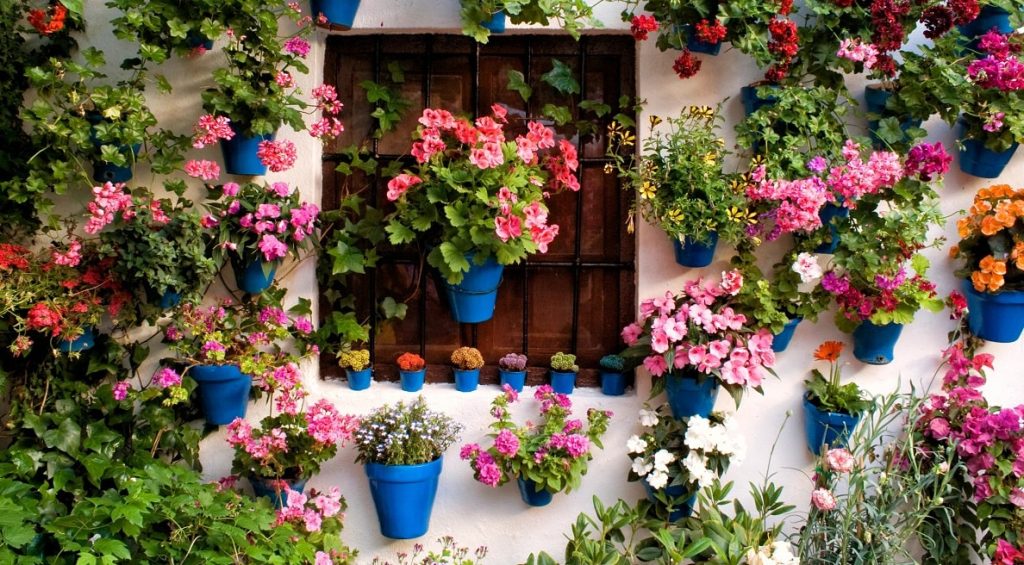 چه چیزهایی برکت خانه را زیاد می کند؟