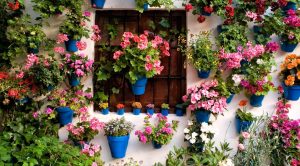 چه چیزهایی برکت خانه را زیاد می کند؟