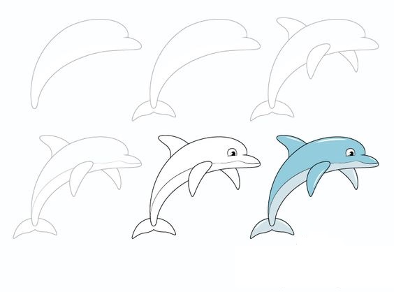 آموزش نقاشی دلفین ساده برای کودکان