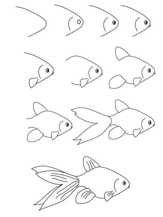 نقاشی های ساده ماهی برای کودکان