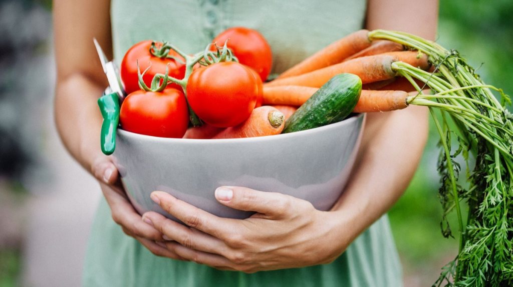 چگونه میوه ها را تازه نگه داریم + زمان نگهداری هر میوه در یخچال