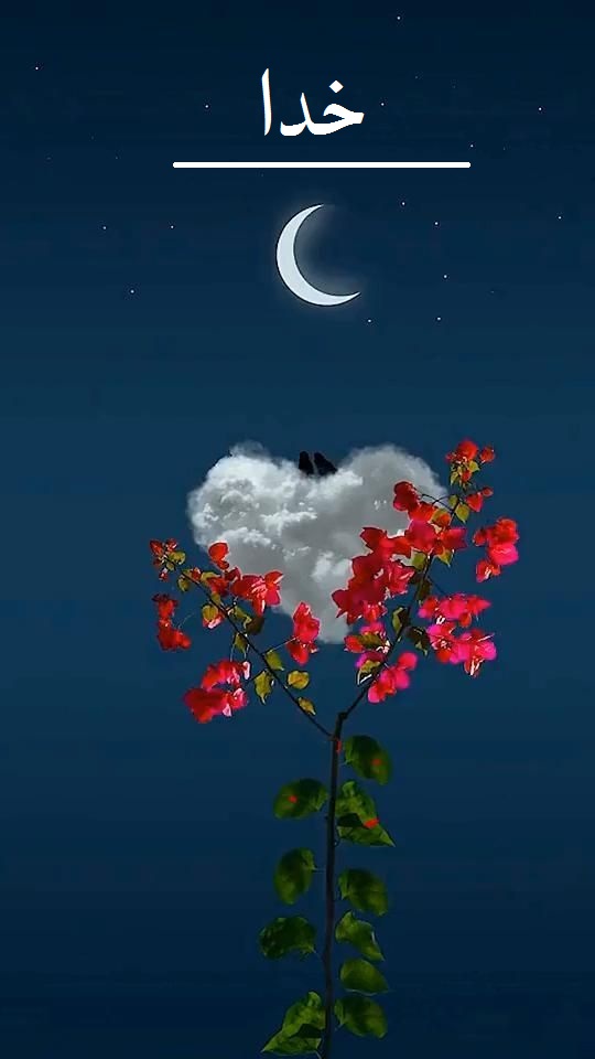 عکس نوشته خدا برای پروفایل واتساپ