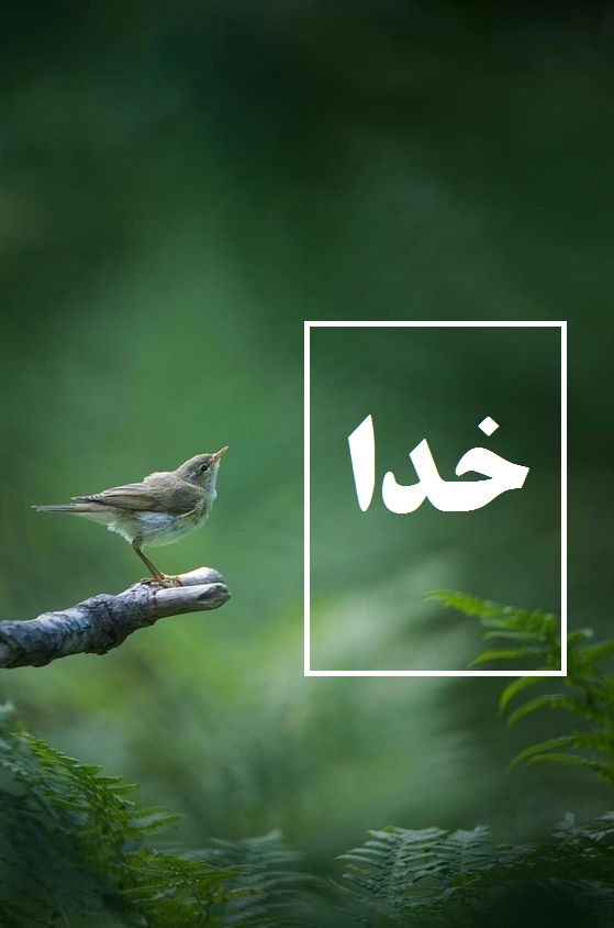عکس خدا برای پروفایل شاد