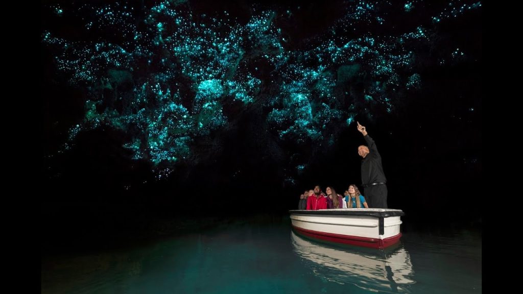 غار کرم های شب تاب وایتامو در وایتامو، نیوزلند
