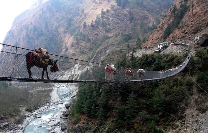پل های معلق قاسا در نپال