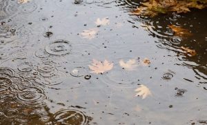 انشا در مورد باران (ادبی و عادی) با مقدمه و نتیجه برای پایه سوم تا دوازدهم