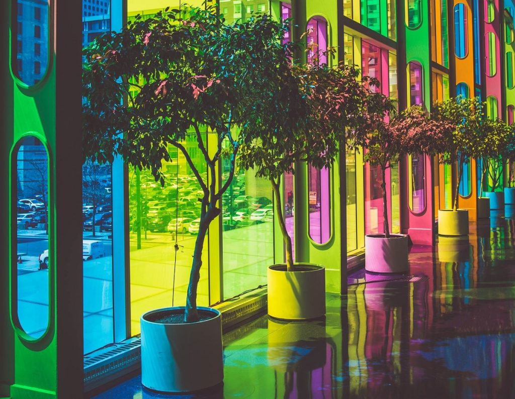 شناخت شخصیت از روی رنگ مورد علاقه؛ دوست داشتن هر رنگ نشانه چیست؟